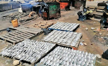 Enhancing use of fish as part of a healthy diet