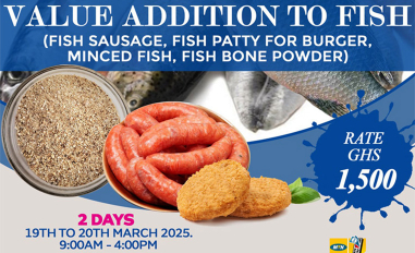 Training on Value Addition to Fish