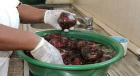 Washing of the freshly harvested beetroots Image