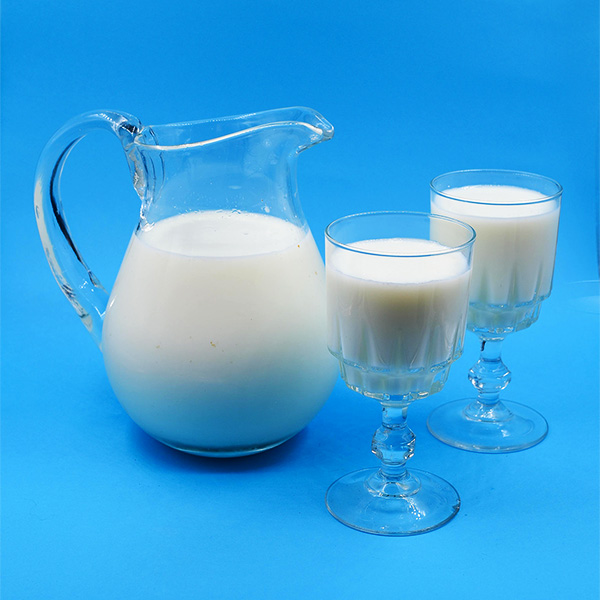 GC FERMENTED FOOD