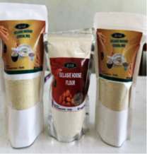 Gallery Item 1