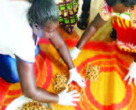 Participants practicing how to sort and perform sampling. Image