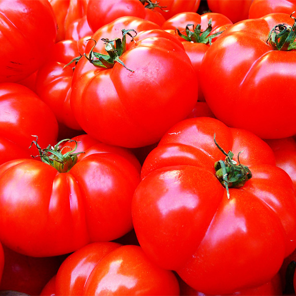 Pesticide Residues In Fresh Tomatoes